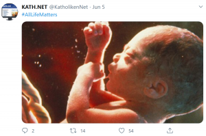Screenshot von einem Twitterposting mit dem Hashtag "AllLifeMatters" und einem Embryonenbild